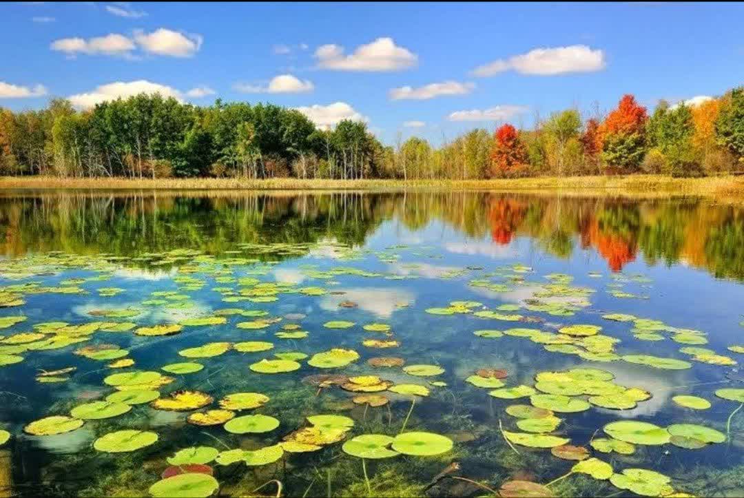 تور 6 روزه شمال از مشهد -با قطار 5 ستاره